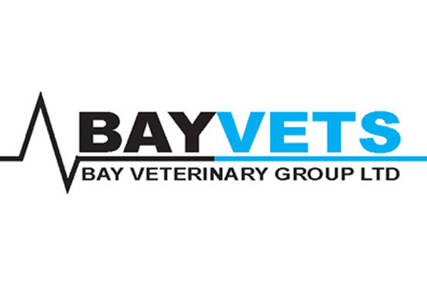 Bay Vets