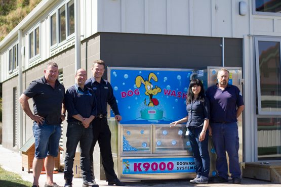 K9000 Dogwash Gallery