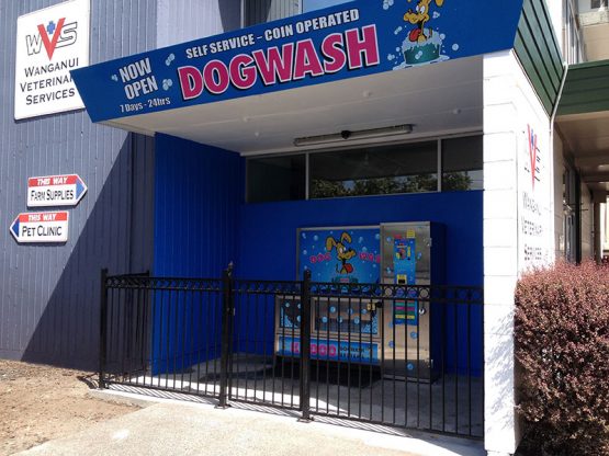 K9000 Dogwash Gallery