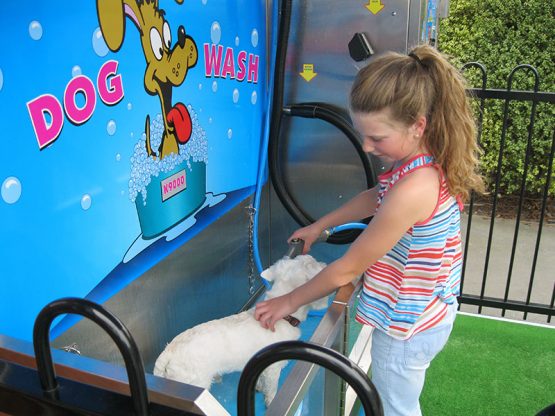 K9000 Dogwash Gallery