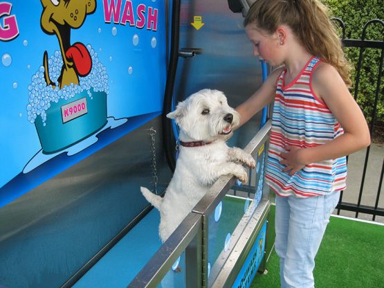 K9000 Dogwash Gallery