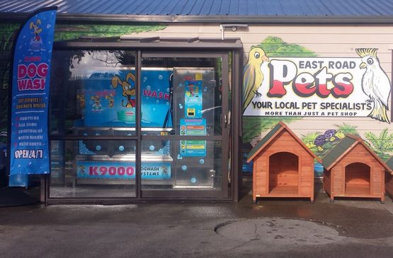 K9000 Dogwash Gallery