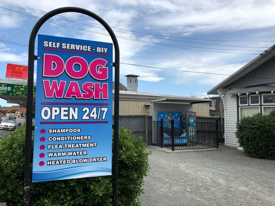 K9000 Dogwash Gallery