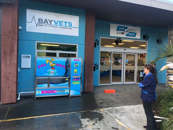 K9000 Dogwash Gallery