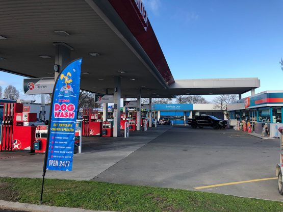 K9000 Dogwash Gallery