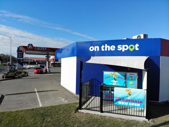 K9000 Dogwash Gallery