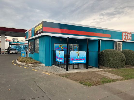 K9000 Dogwash Gallery