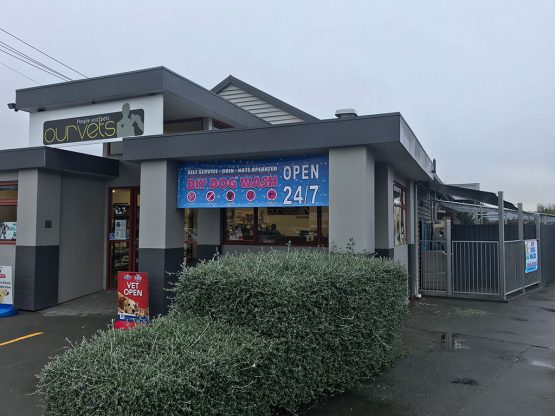 K9000 Dogwash Gallery