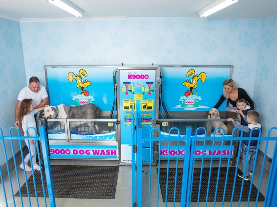 K9000 Dogwash Gallery