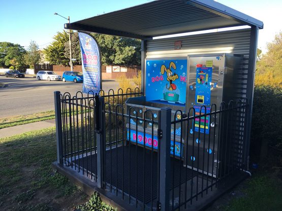 K9000 Dogwash Gallery