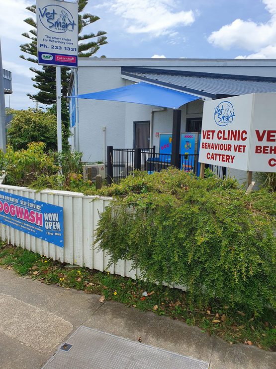 K9000 Dogwash Gallery